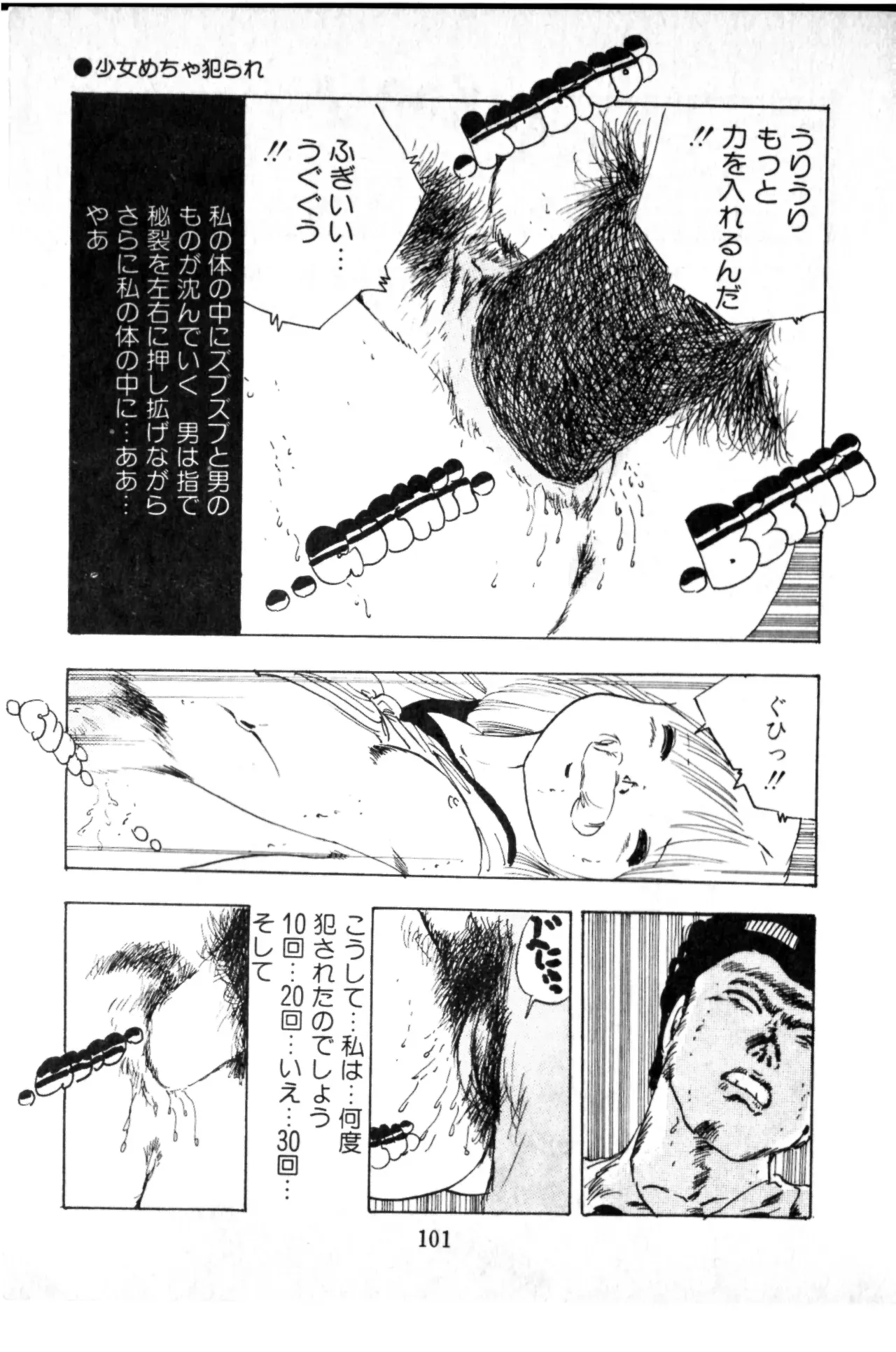 Page 101
