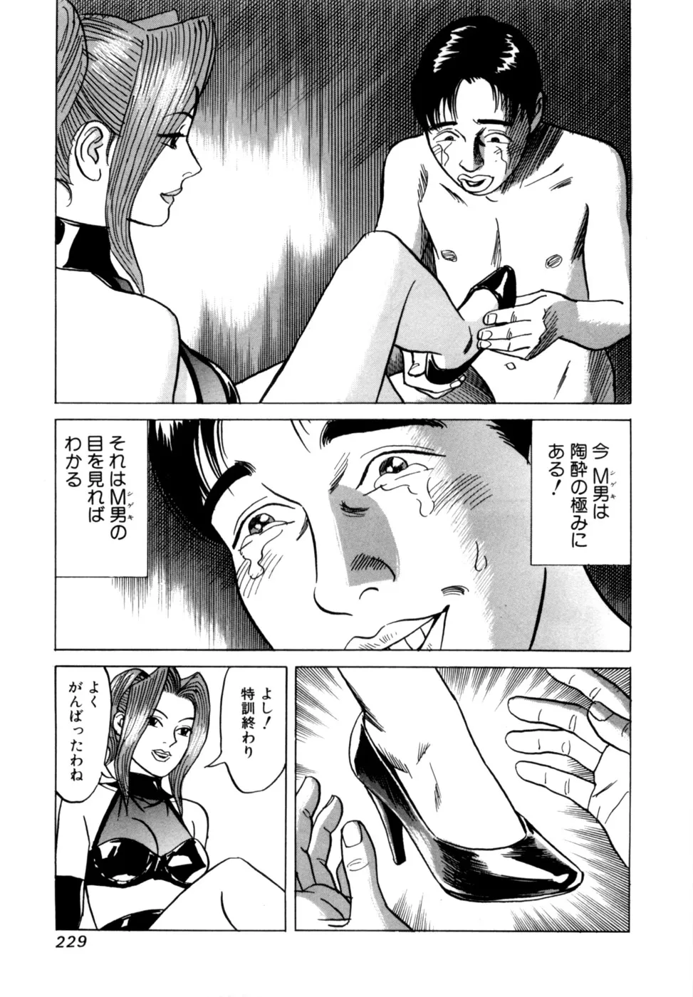 Page 231