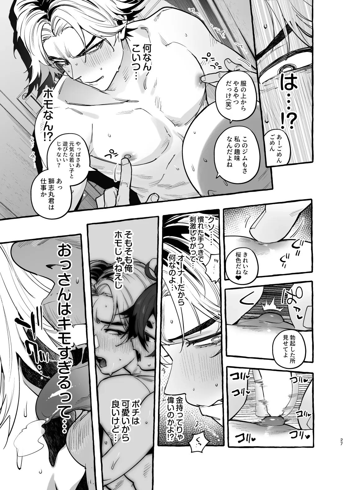 Page 27
