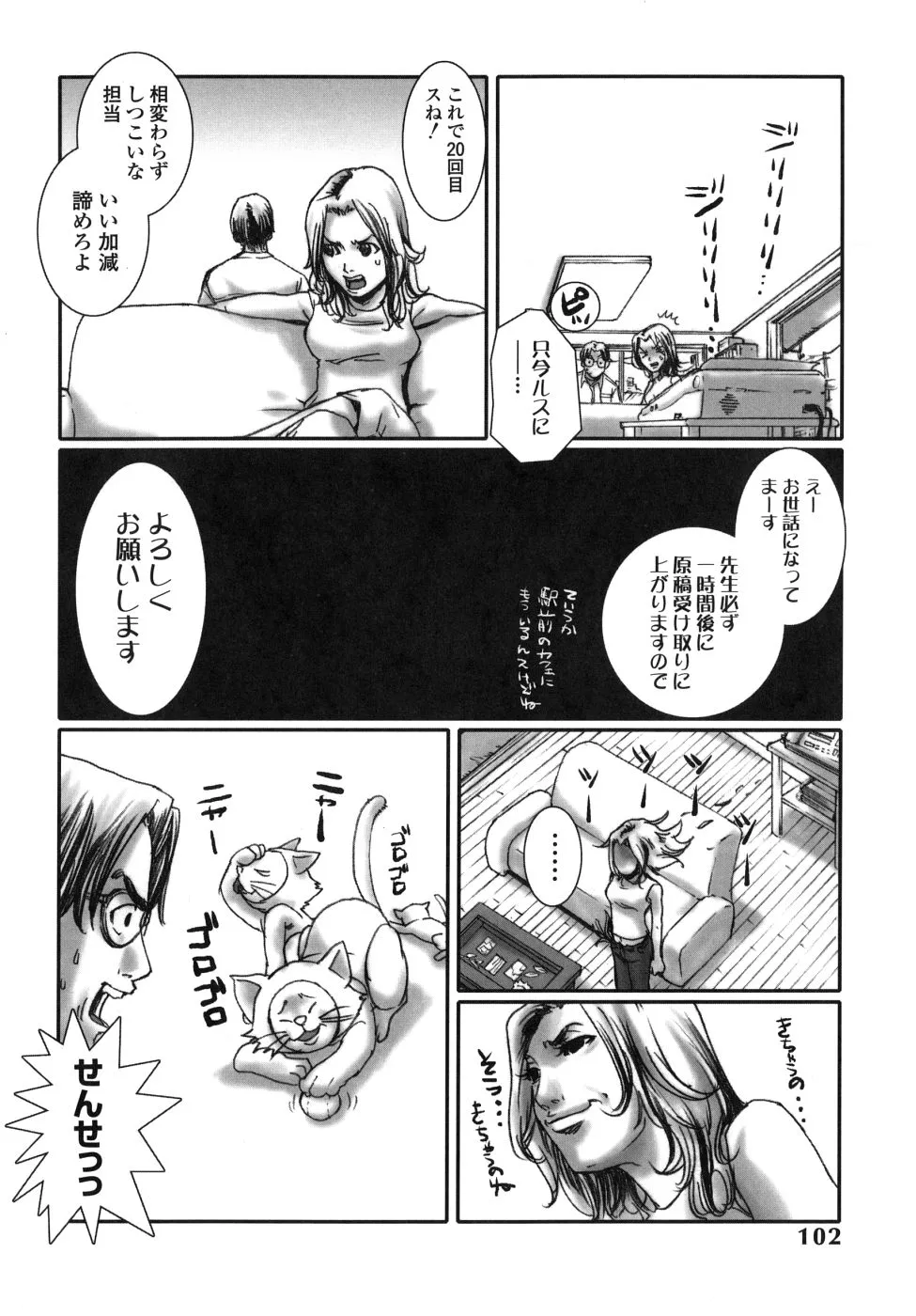 Page 101