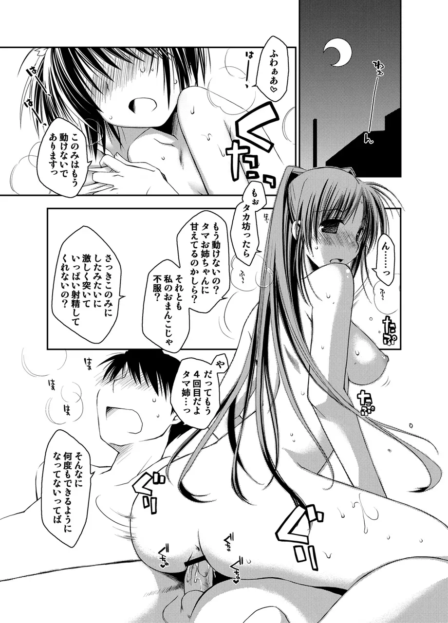 Page 311