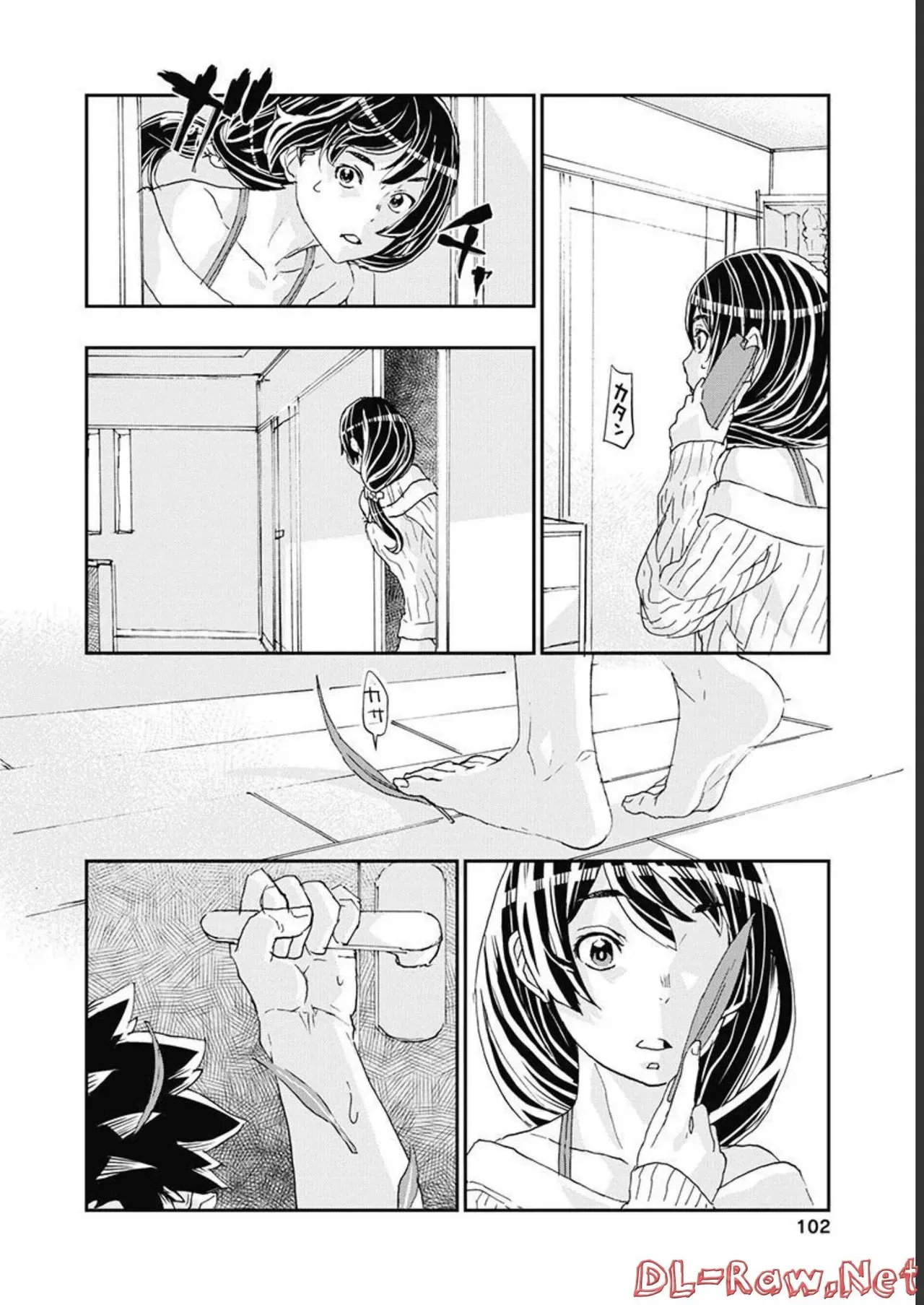 Page 102