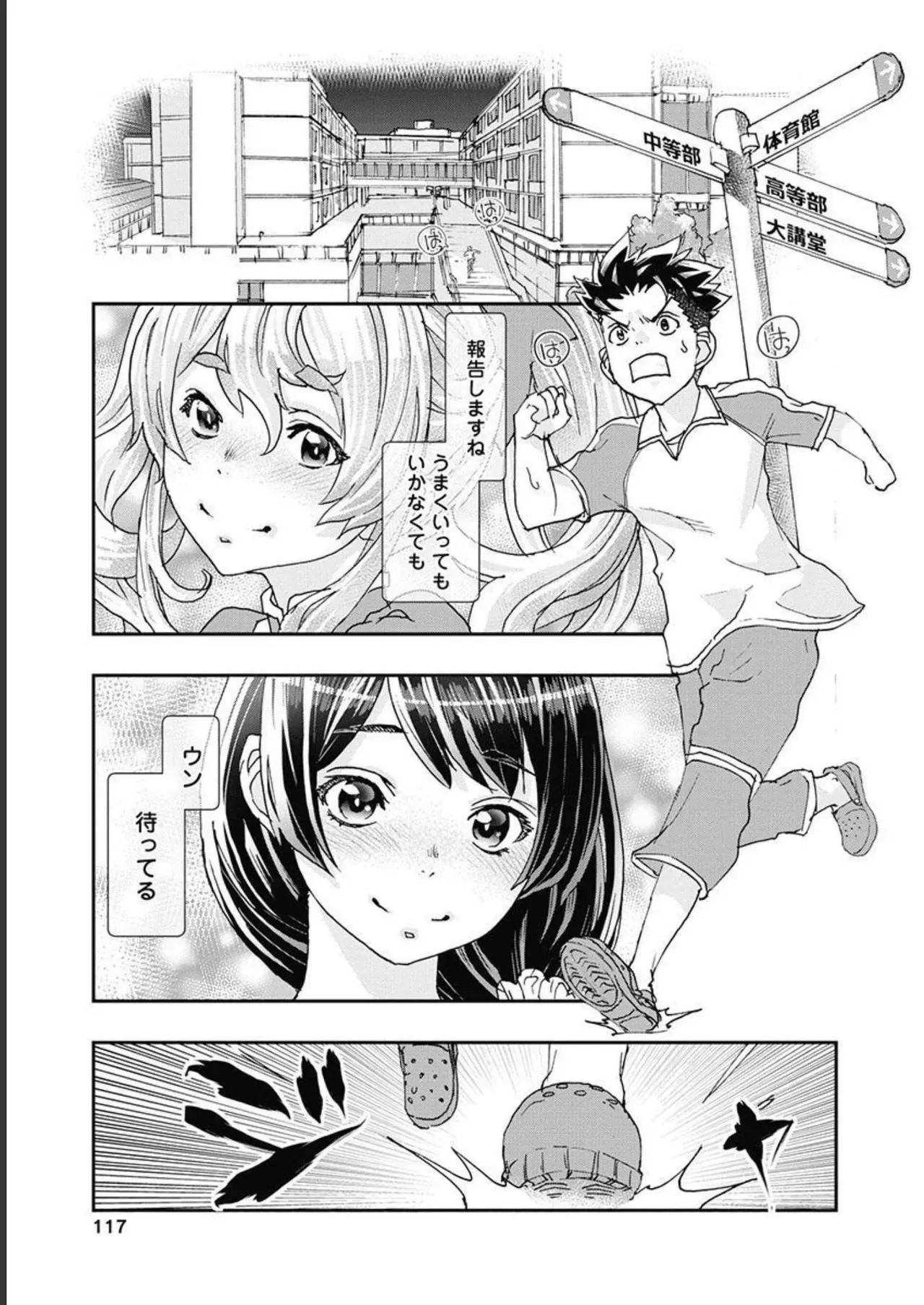 Page 117