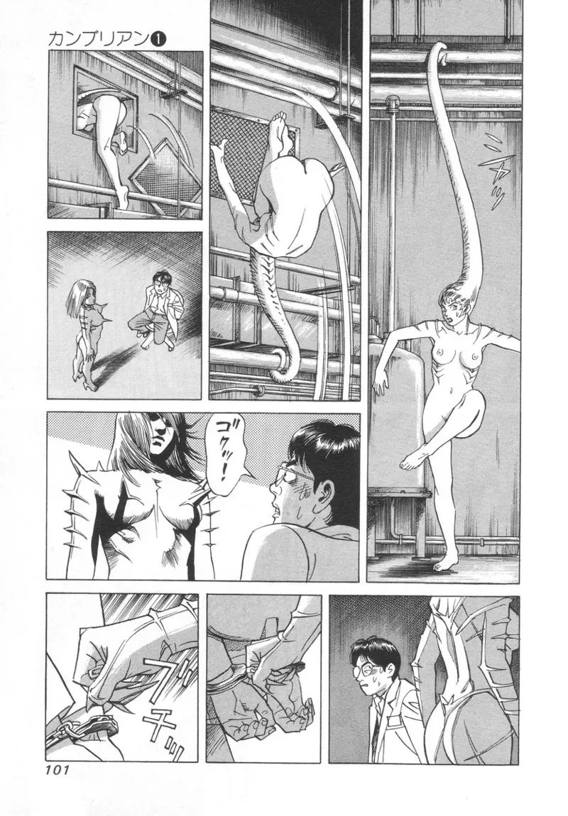 Page 100