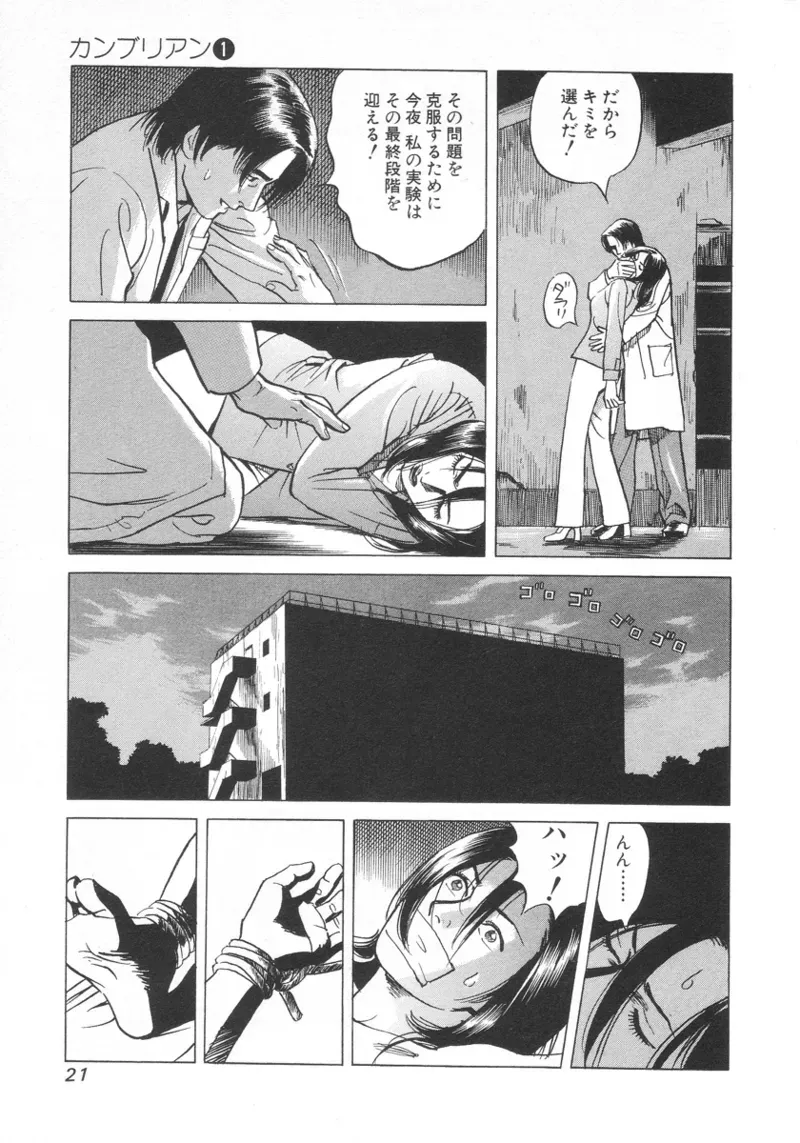 Page 21
