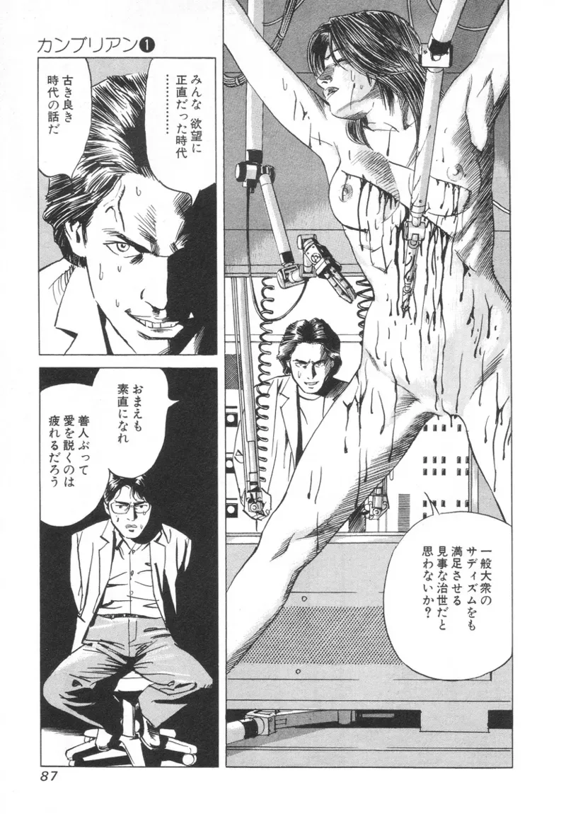 Page 86