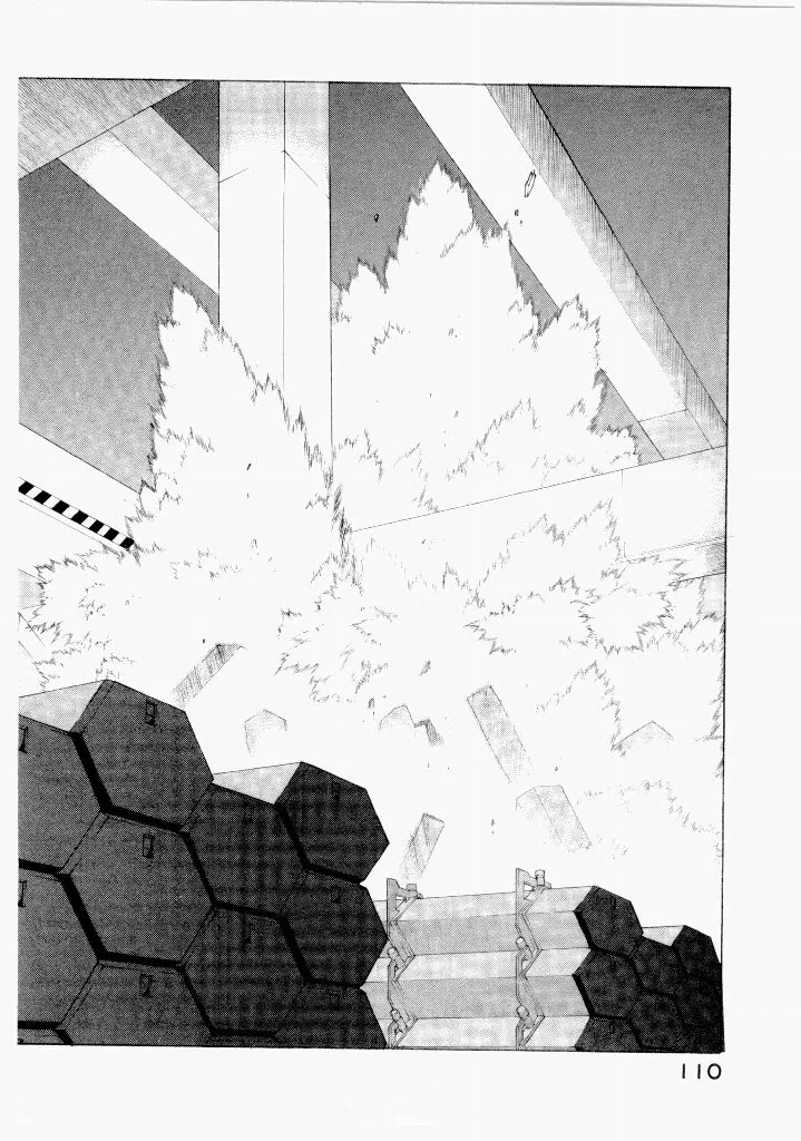 Page 113