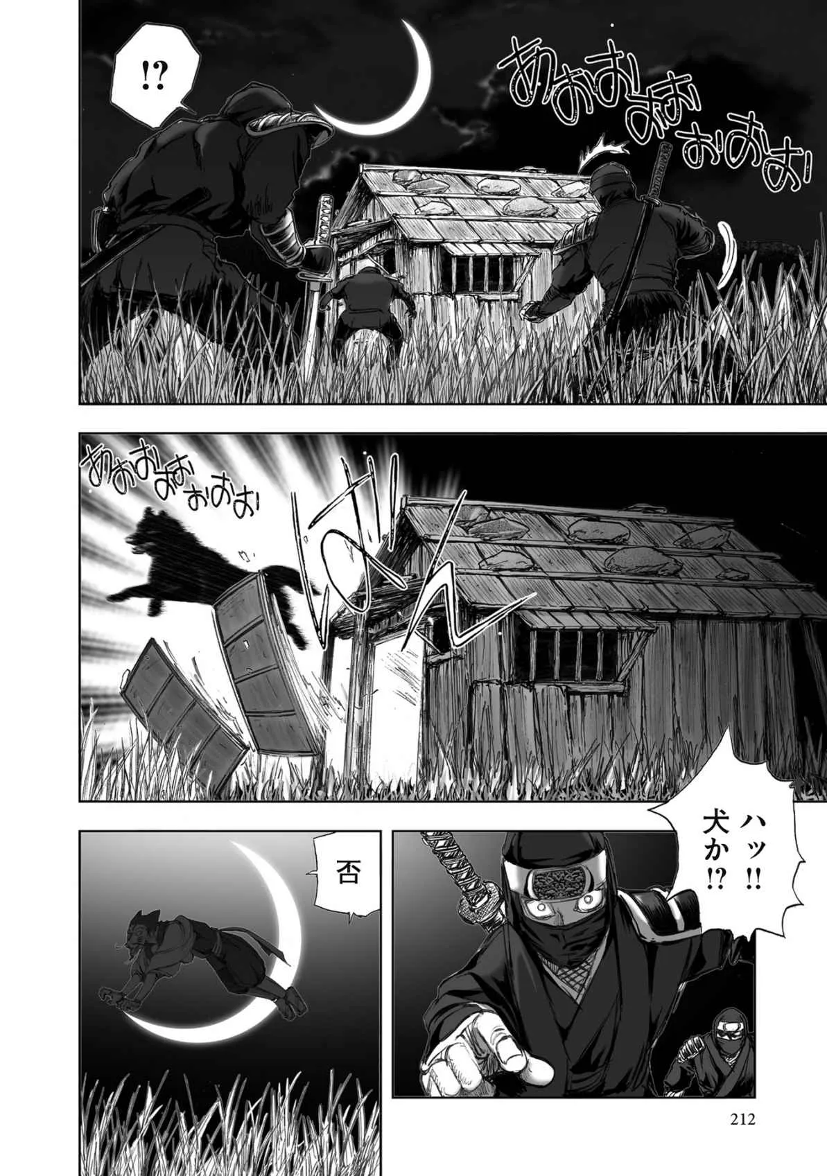 Page 213