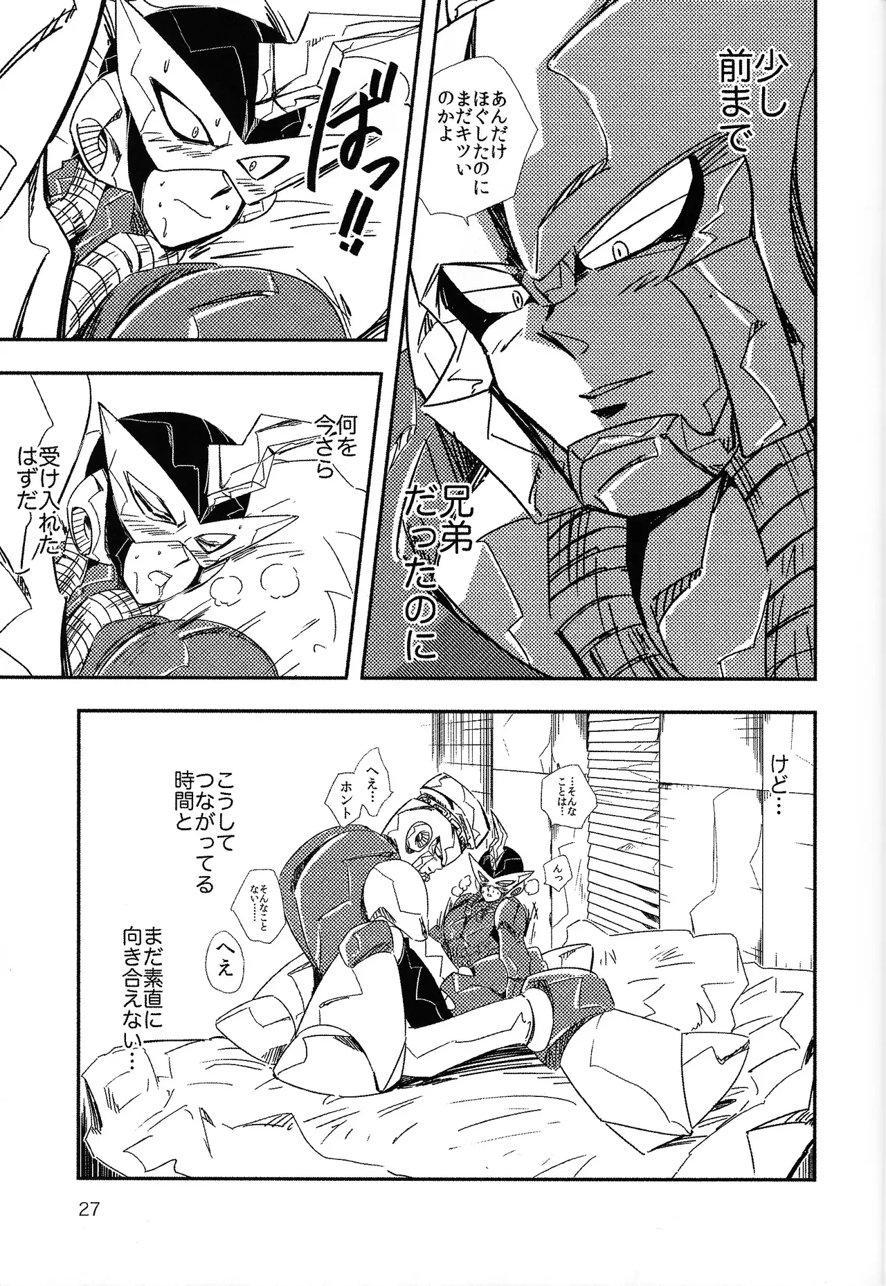 Page 27