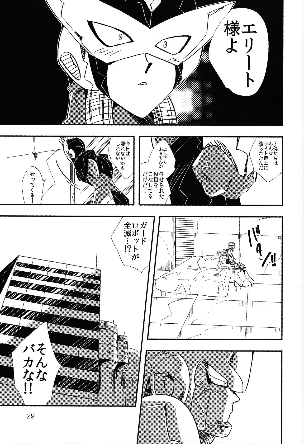 Page 29