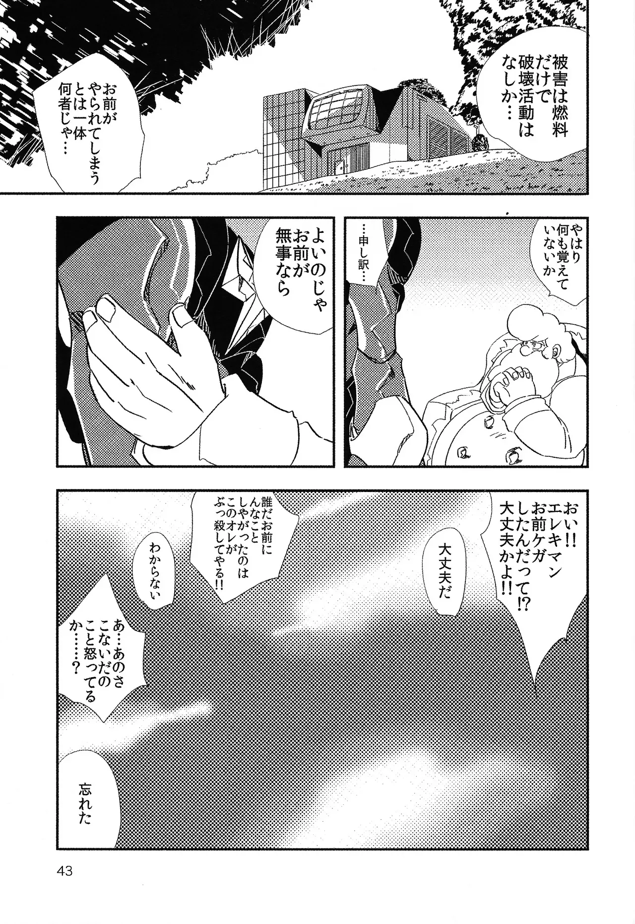 Page 43