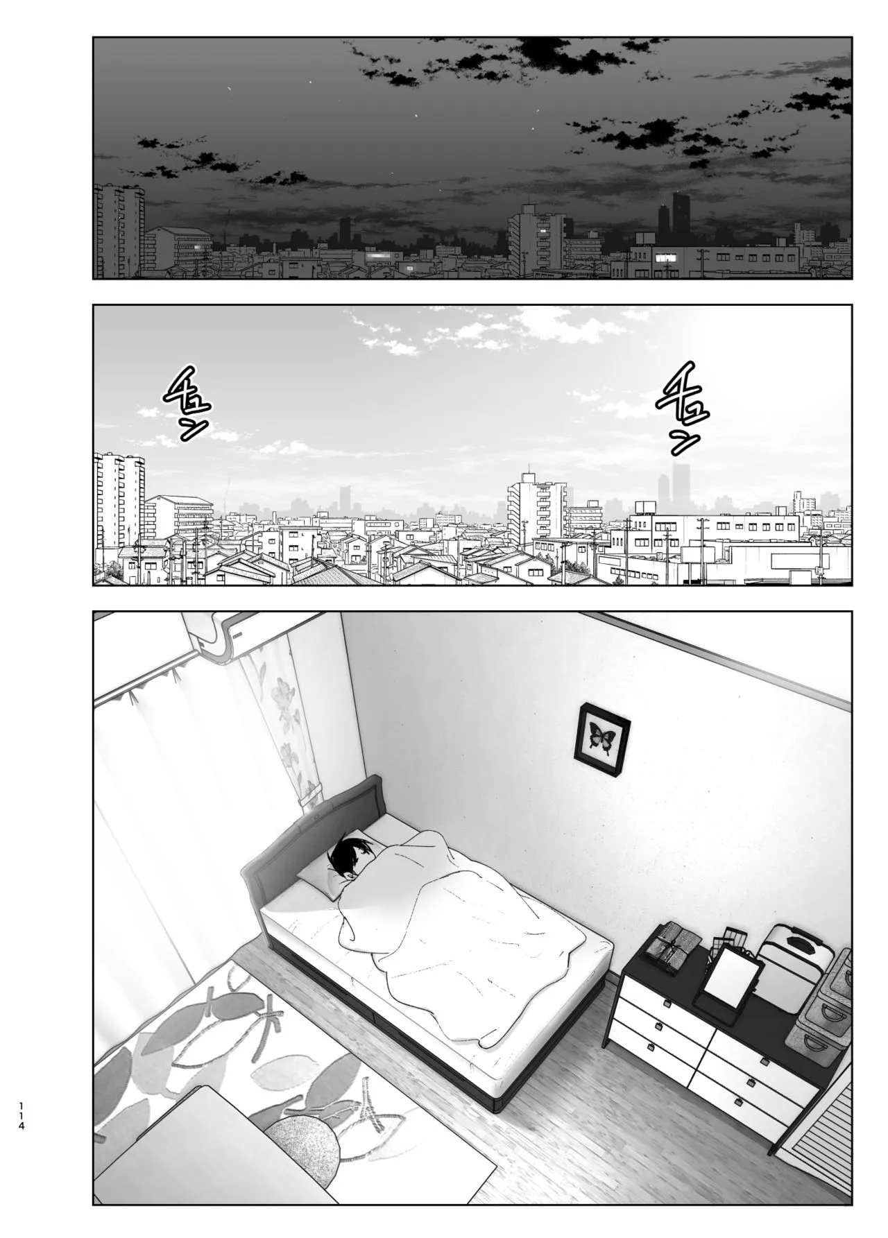 Page 113