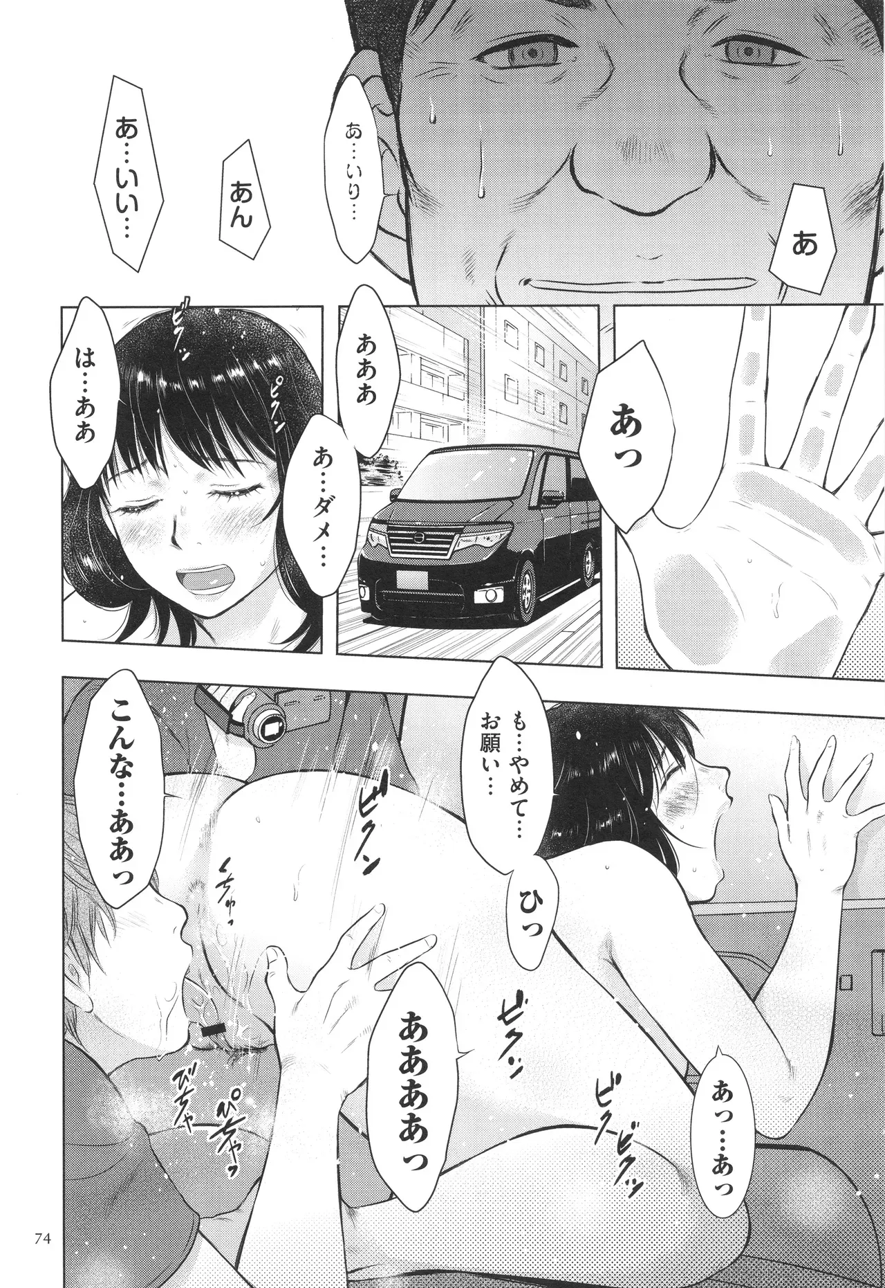 Page 73