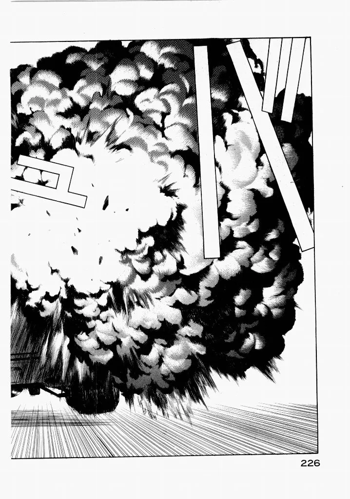 Page 229