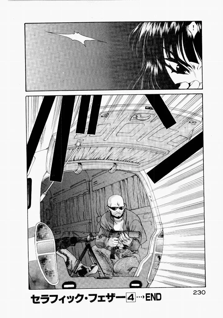 Page 233