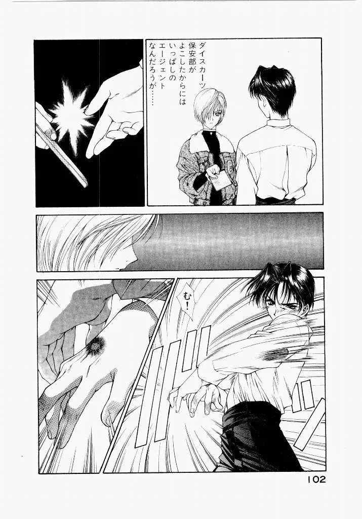 Page 101