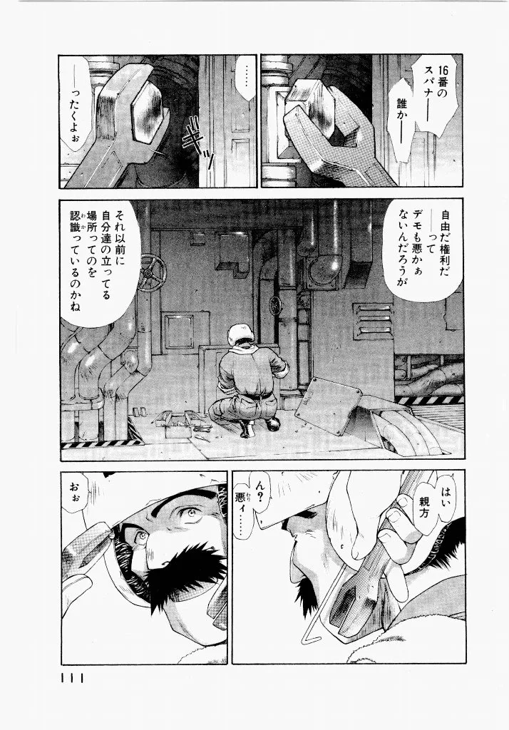 Page 110