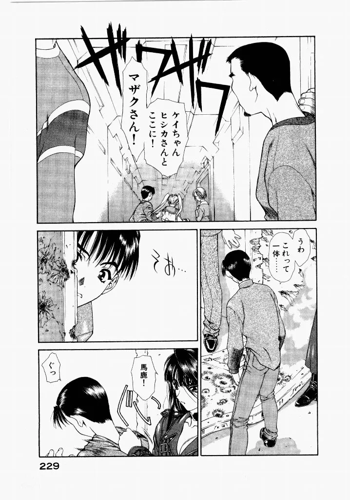Page 228