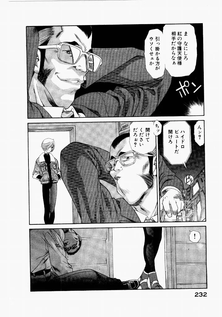 Page 231