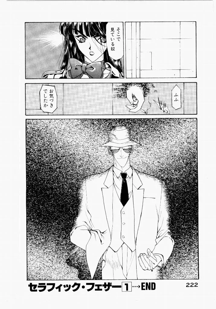 Page 221