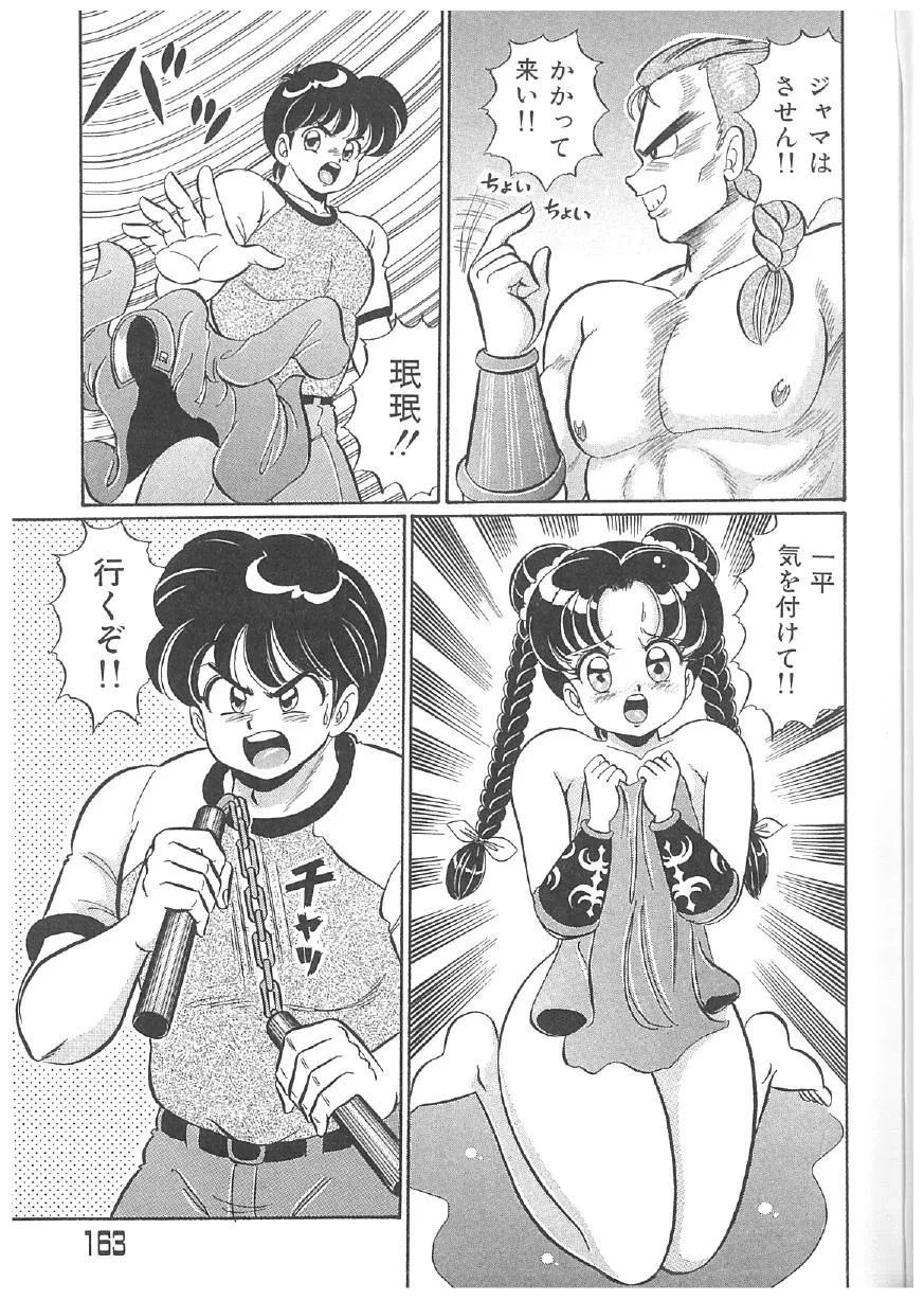 Page 161