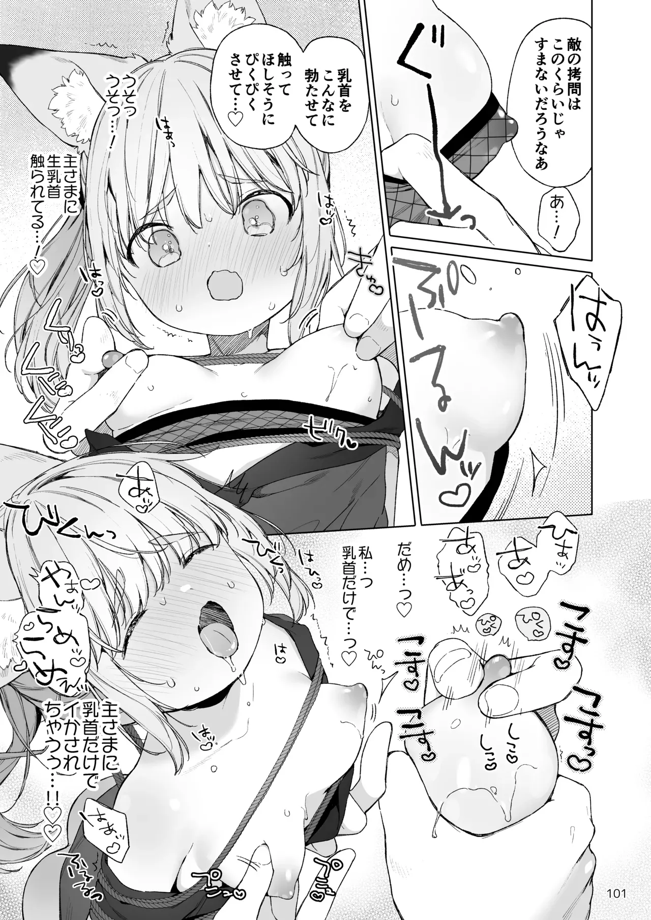 Page 101