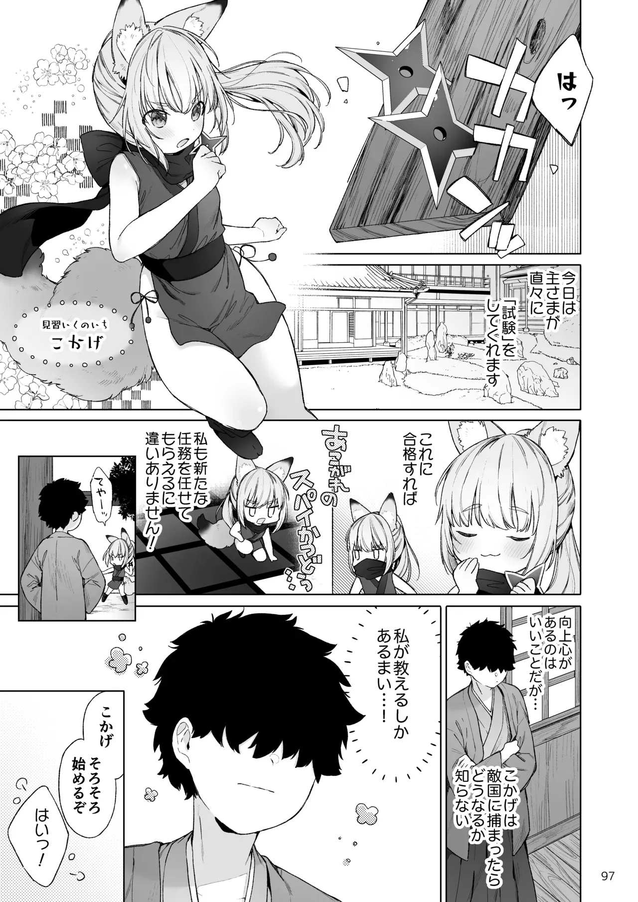 Page 97