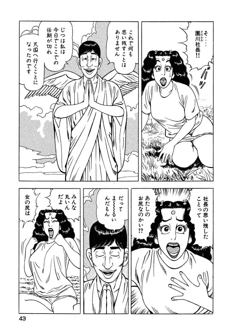 Page 43
