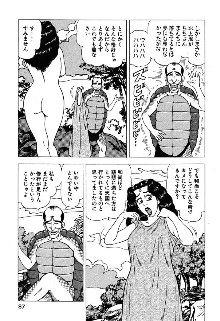 Page 87