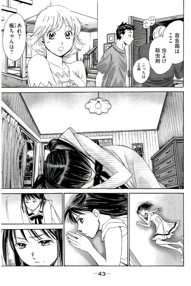 Page 43