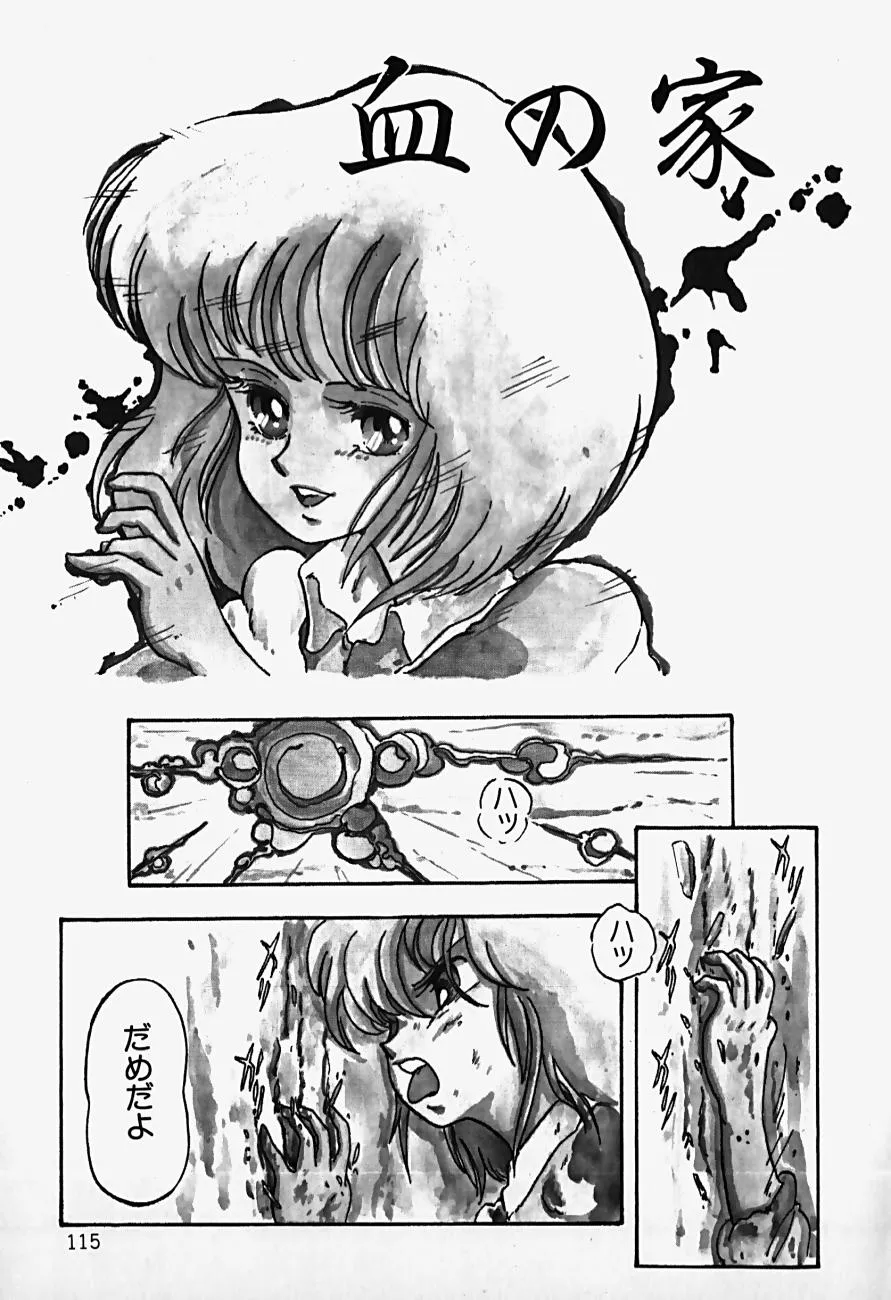 Page 116