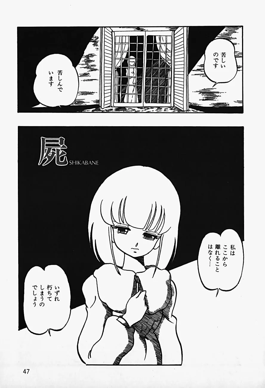 Page 48