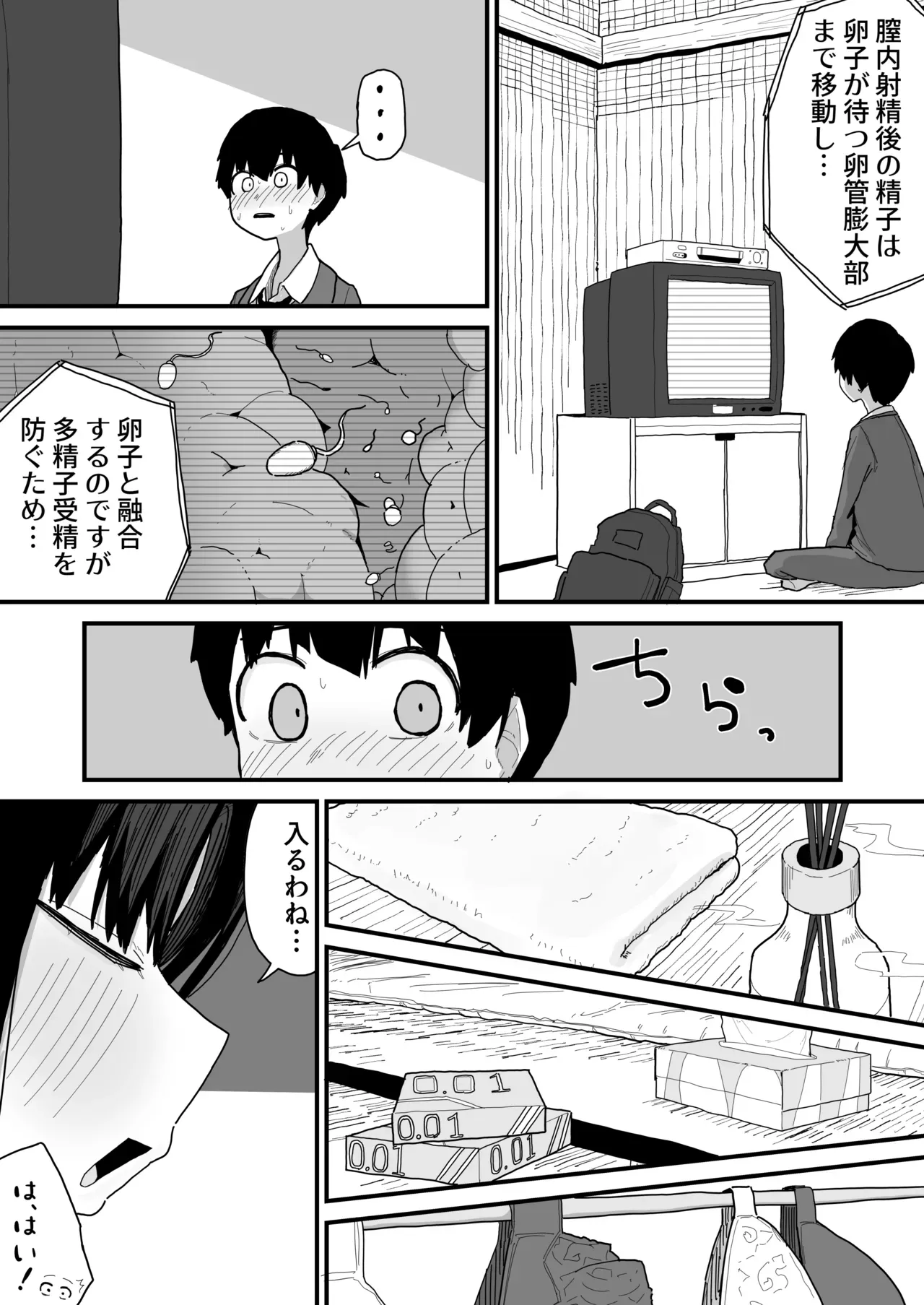 Page 43