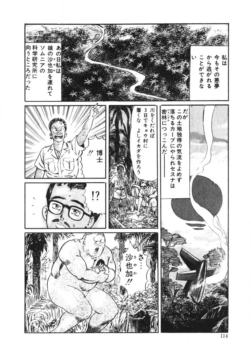 Page 112