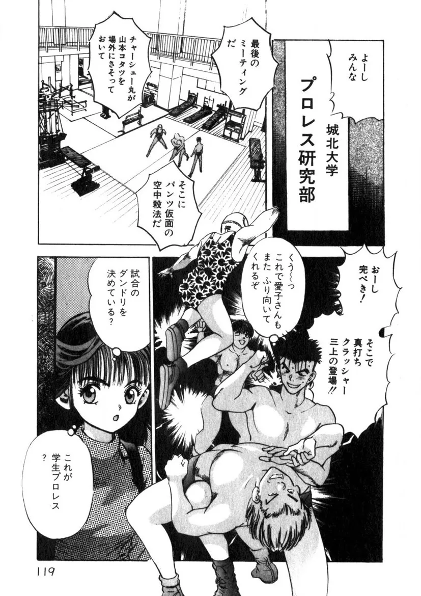 Page 119
