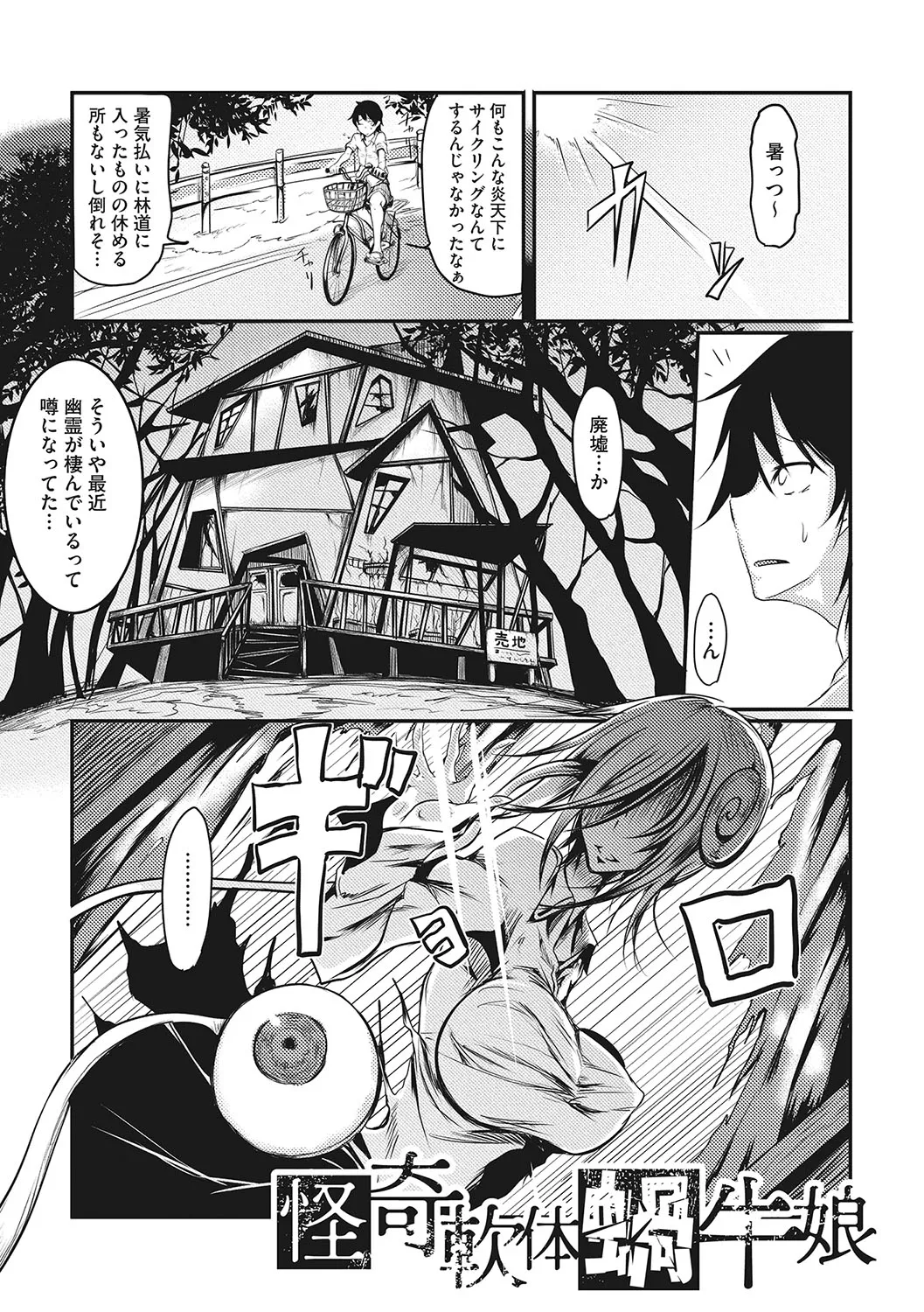 Page 255