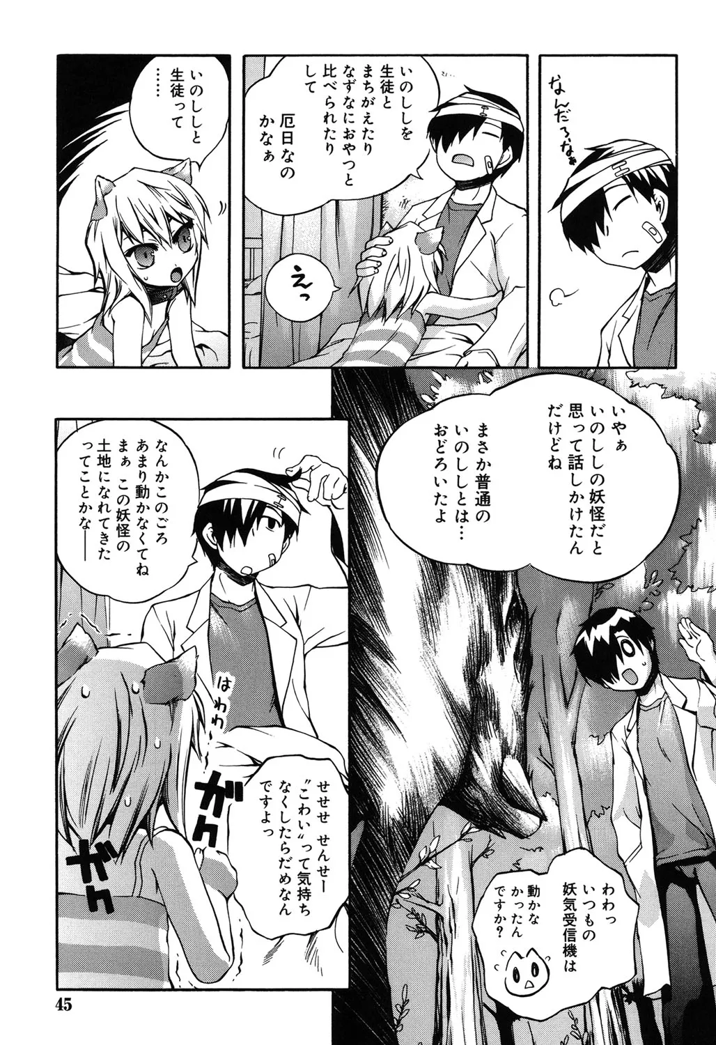 Page 41