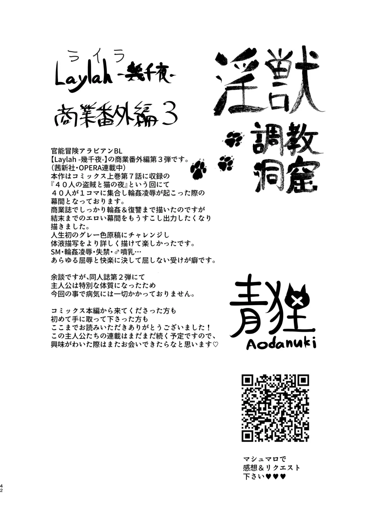 Page 41