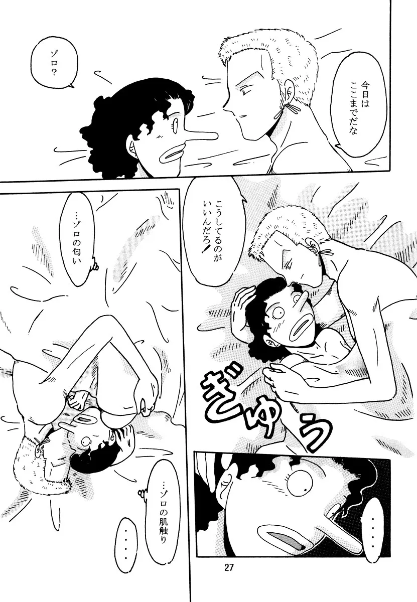 Page 25