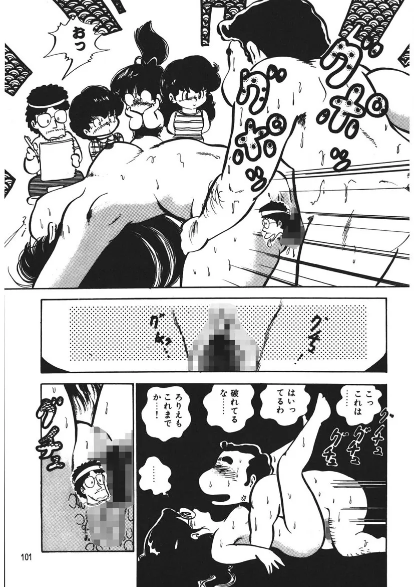 Page 101